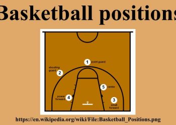 The Different Basketball Positions