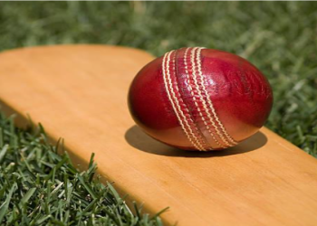What to look for in a good Cricket Bat