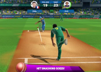 Payment Options for Cricket Gaming Sites: Security and Convenience